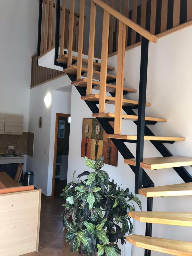 הוילה Nemesvid S'Schnoganeschd מראה חיצוני תמונה